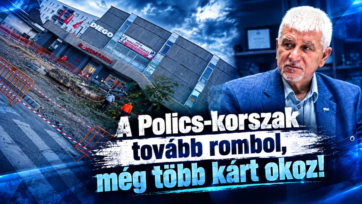 A Polics-korszak tovább rombol, még több kárt okoz!. „Zöld belváros” projekt néven fákat irtanak ki, valós zöld területeket szüntetnek meg, és egészséges fákat cserélnek le…