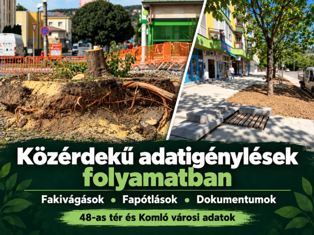 📄 KÖZÉRDEKŰ ADATIGÉNYLÉSEK – MIÉRT VAN RÁJUK SZÜKSÉG?